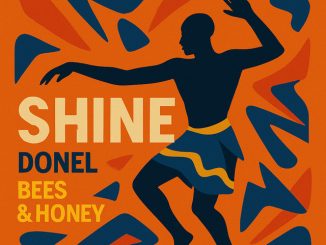 Shine - Donel ft bees & honey 8 ab67616d0000b273fc0fa9febeb70842bd39e8c1 1