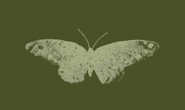 ab67616d0000b2736da2600db1e55a8f02119956